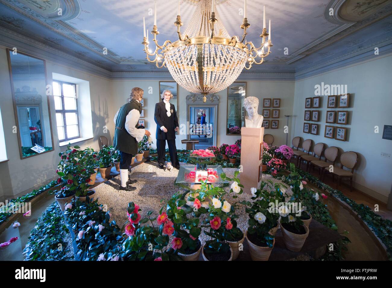 Pirna, Germany. 04th Mar, 2016. Figures of camellia grower Jacob Friedrich Seidel (L) and Duke Carl August of Saxe-Weimar-Eisenach are on display during the German camellia blossoms expo at Zuschendorf countryside castle in Pirna, Germany, 04 March 2016. The German camellia blossoms expo was held at this location from 05 to 13 March. Photo: SEBASTIAN KAHNERT/dpa/Alamy Live News Stock Photo
