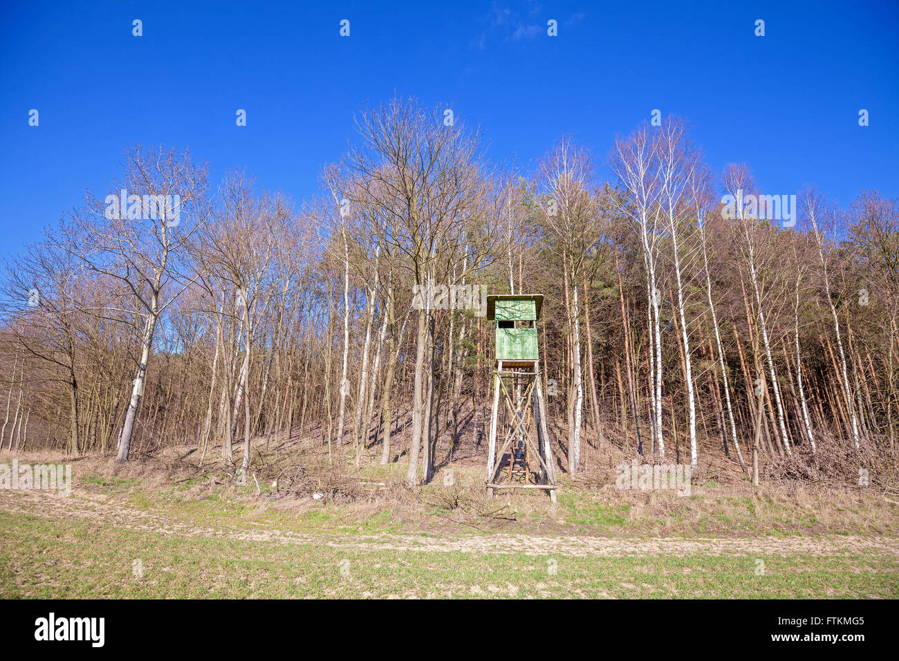Hunting pulpit at the edge of a forest in spring, Poland. Stock Photo