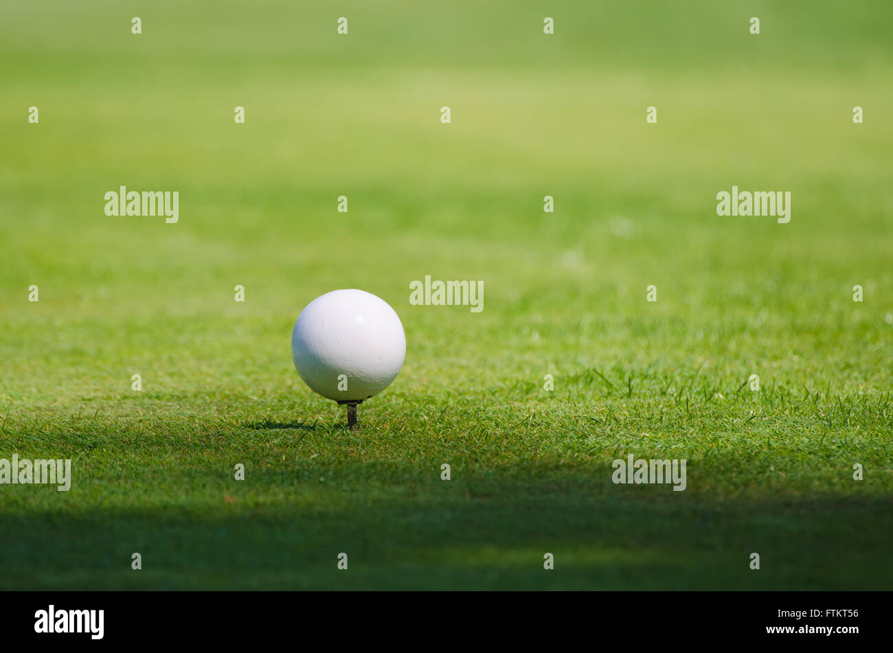 Golf ball on grass Stock Photo Alamy