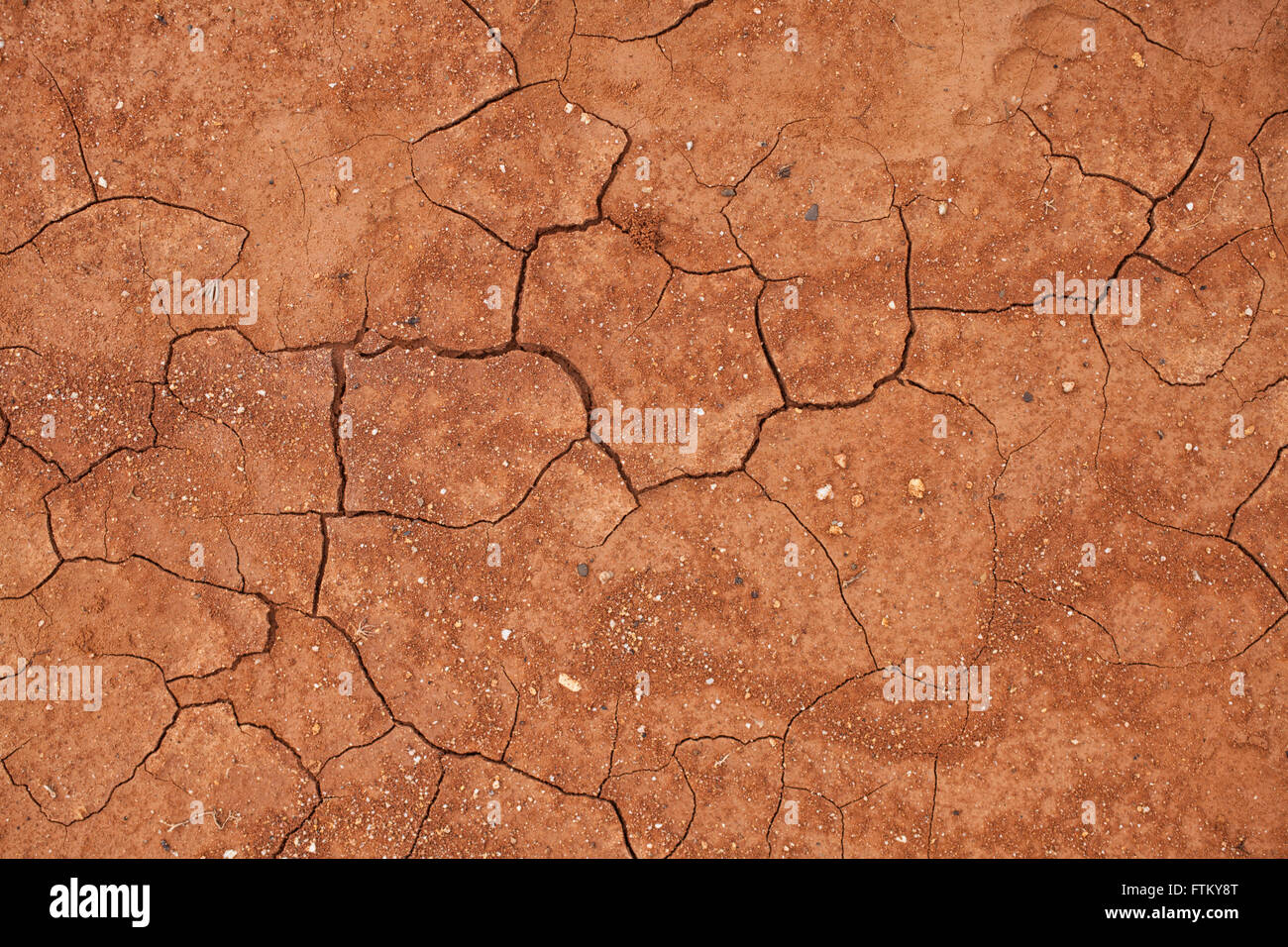 Texture of cracked red clay soil closeup Stock Photo Alamy