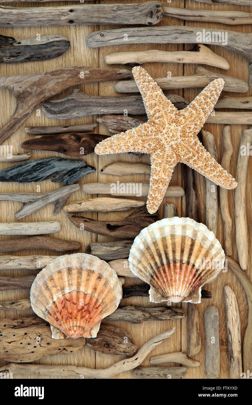 Decoration with starfish and driftwood hi-res stock photography and images  - Alamy