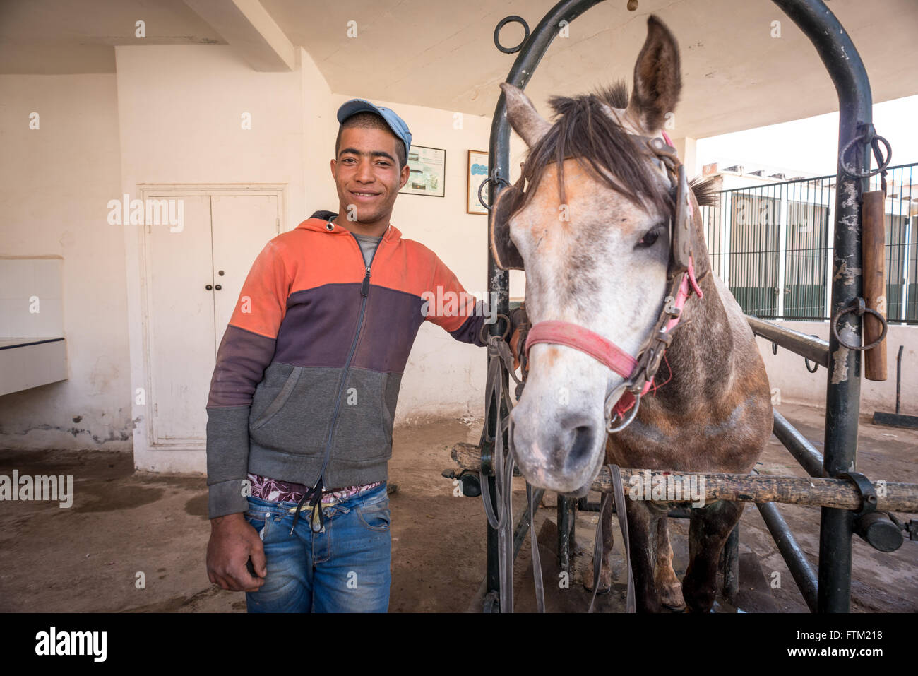 A young man with his horse at the SPANA veterinary centre in Marrakech Stock Photo Alamy