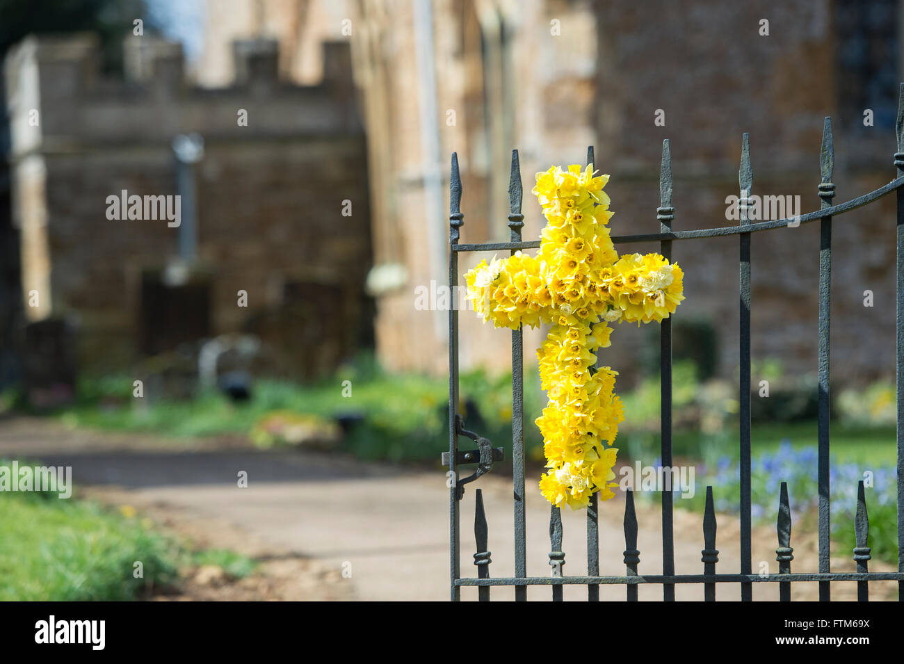 Easter Daffodil cross on the gates of St Peter & St Paul church. Kings Sutton, Banbury, Northamptonshire, England Stock Photo