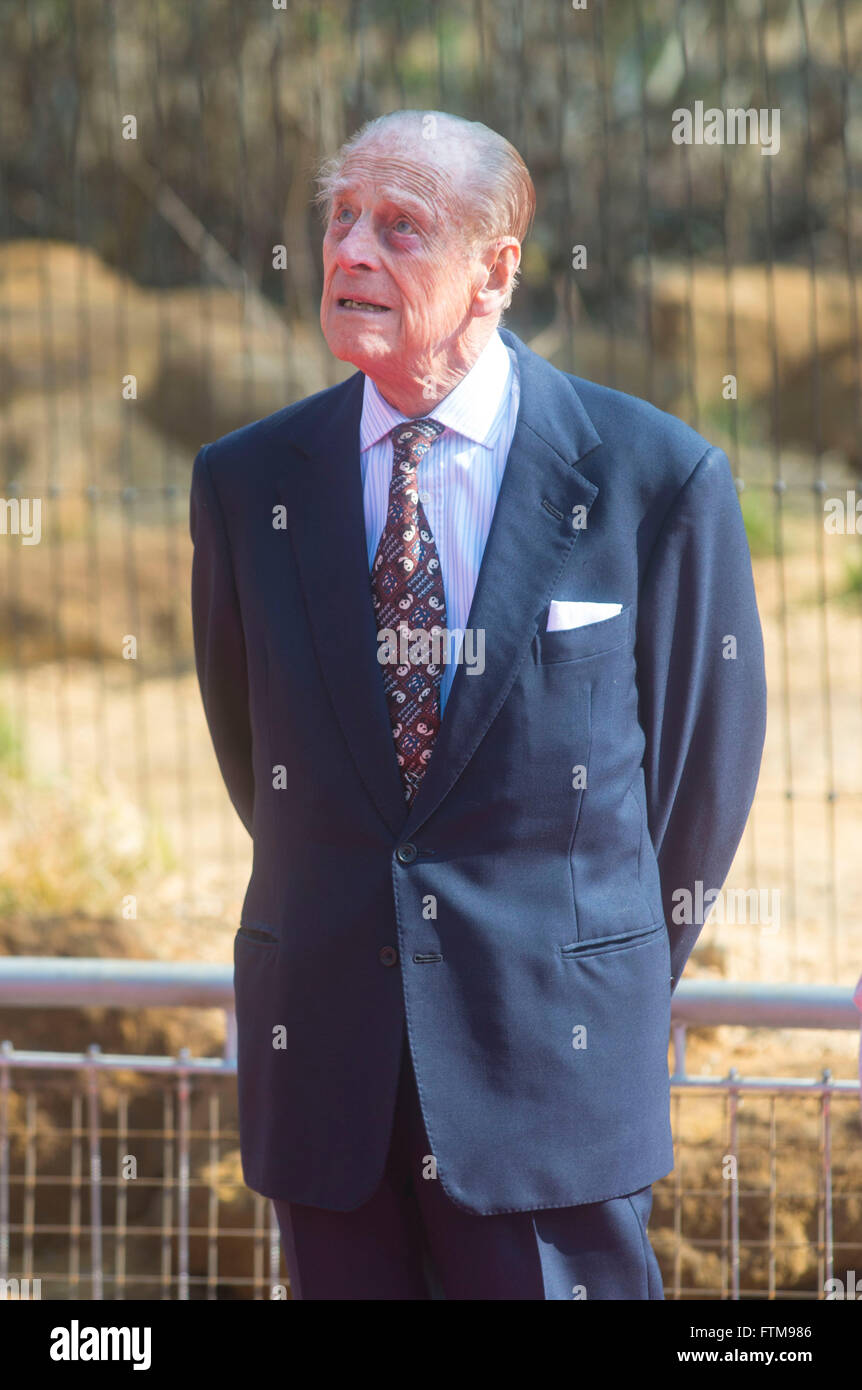 The Duke of Edinburgh open the  ZSL London Zoo’s new  exhibit,  Land of the Lions, on 17th march 2016 Stock Photo