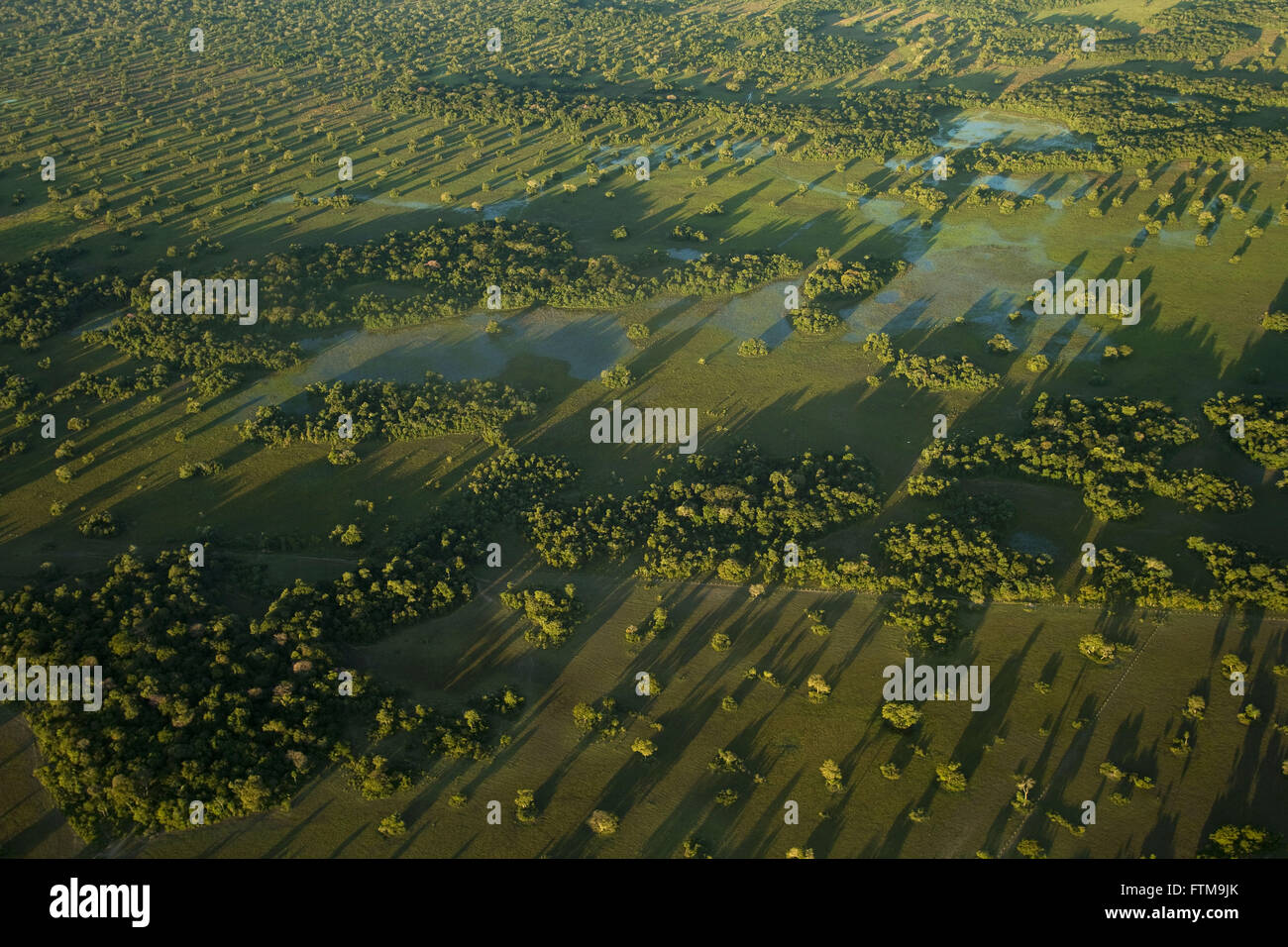 Aerial view of the vegetation in the region of Barranco Alto Farm in South Pantanal Stock Photo