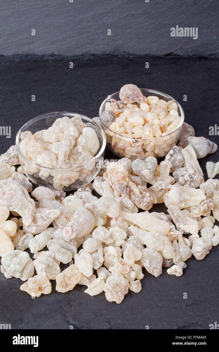 Frankincense is an aromatic resin, used for religious rites, incense and perfumes. Stock Photo