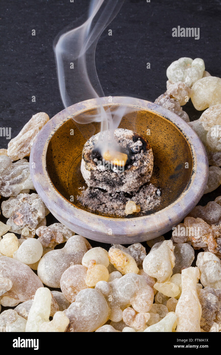 Frankincense burning on a hot coal. Frankincense is an aromatic resin, used for religious rites, incense and perfumes. Stock Photo