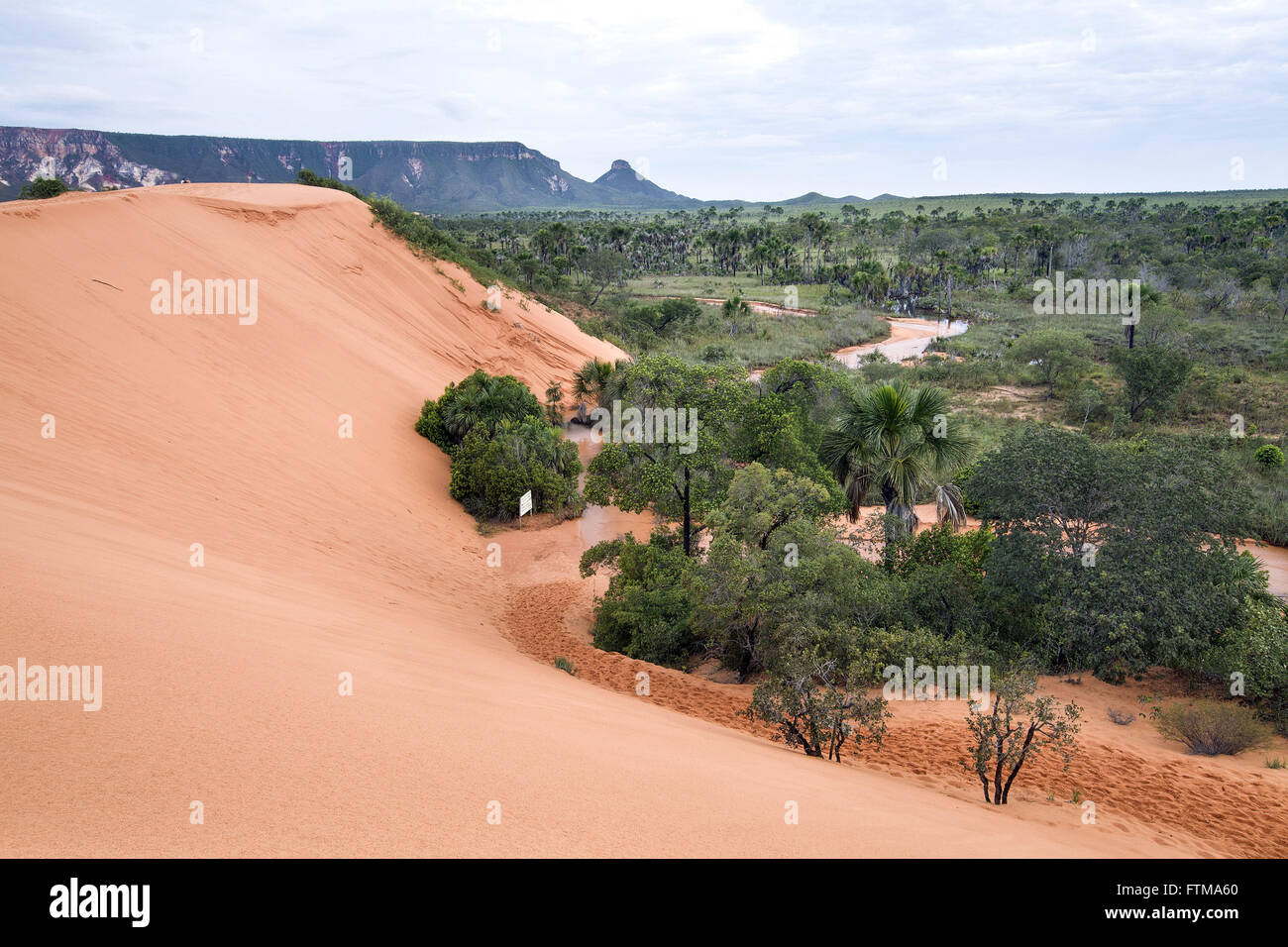 Dunes in cerrado in Jalapao Stock Photo
