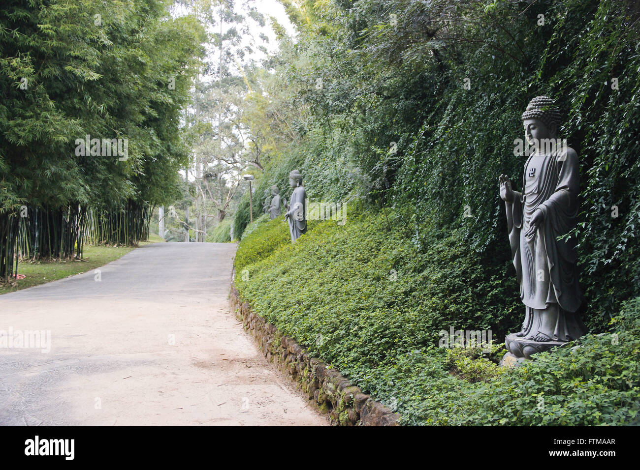 Statues of Zu Lai Buddhist Temple - monastery Stock Photo