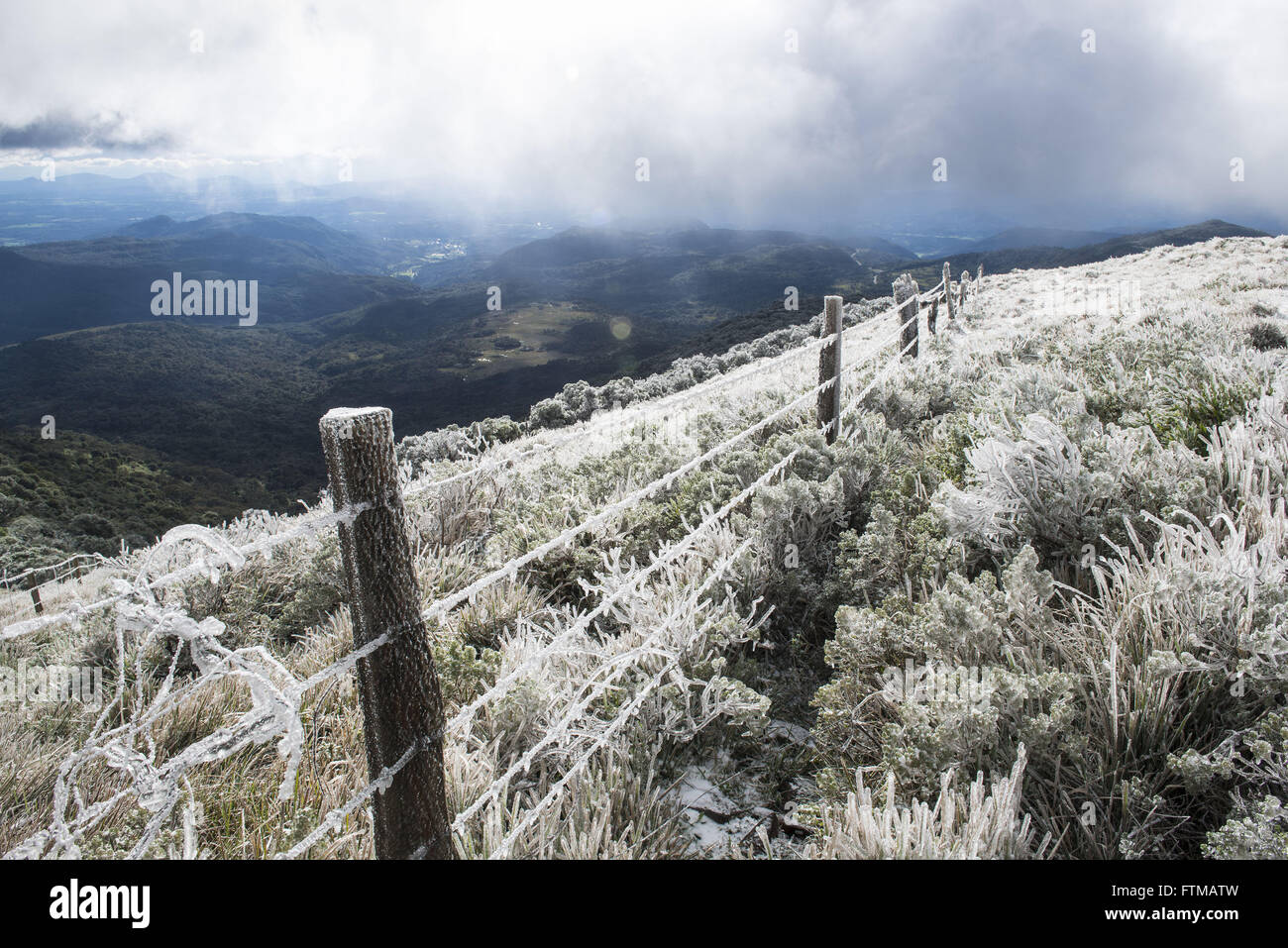 Vegetation frozen in Morro das Torres in Santa Catarina mountains Stock Photo