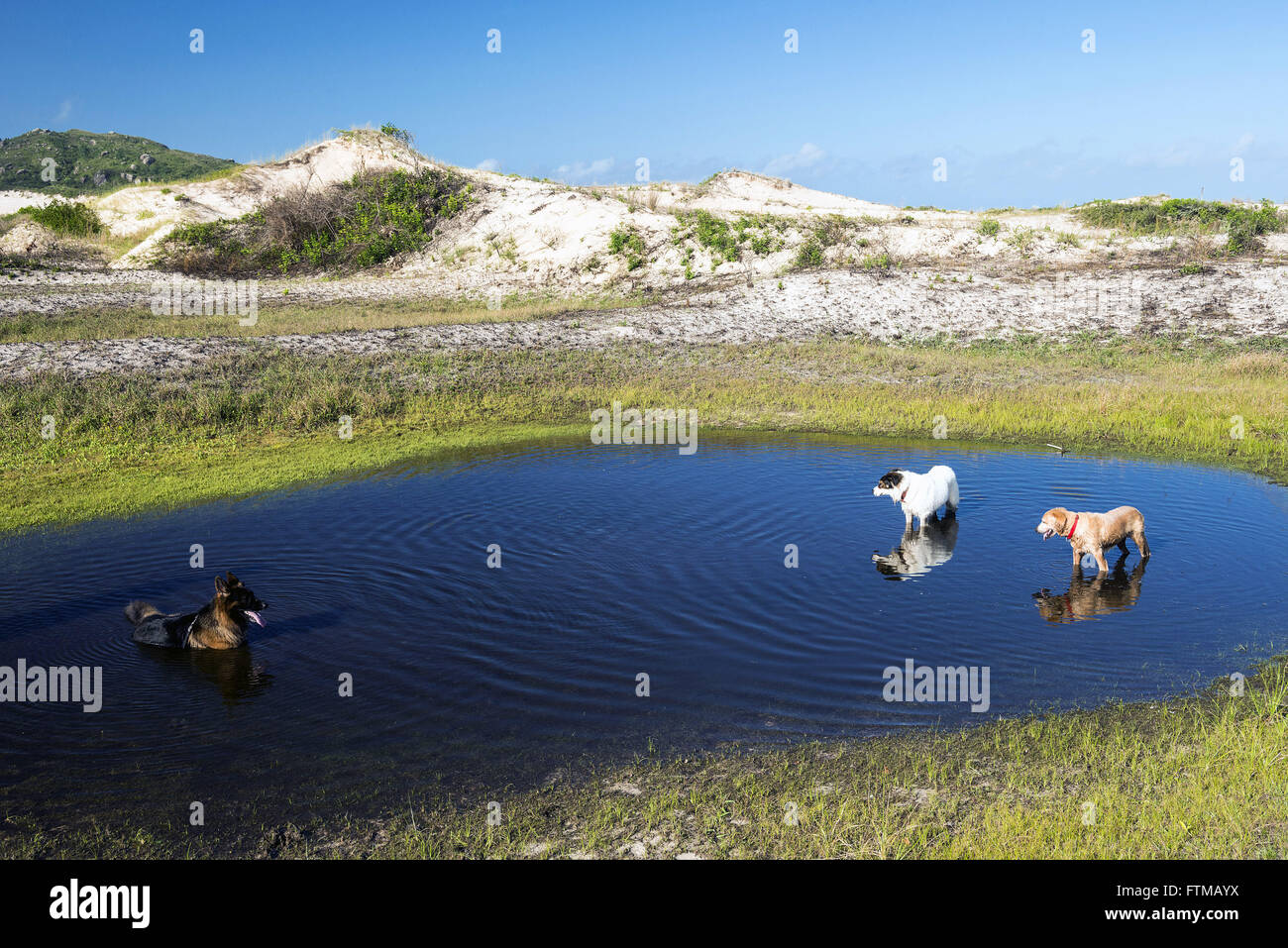 Clothes cooling down in the lake on track for Joaquina Beach in PMDLC Stock Photo