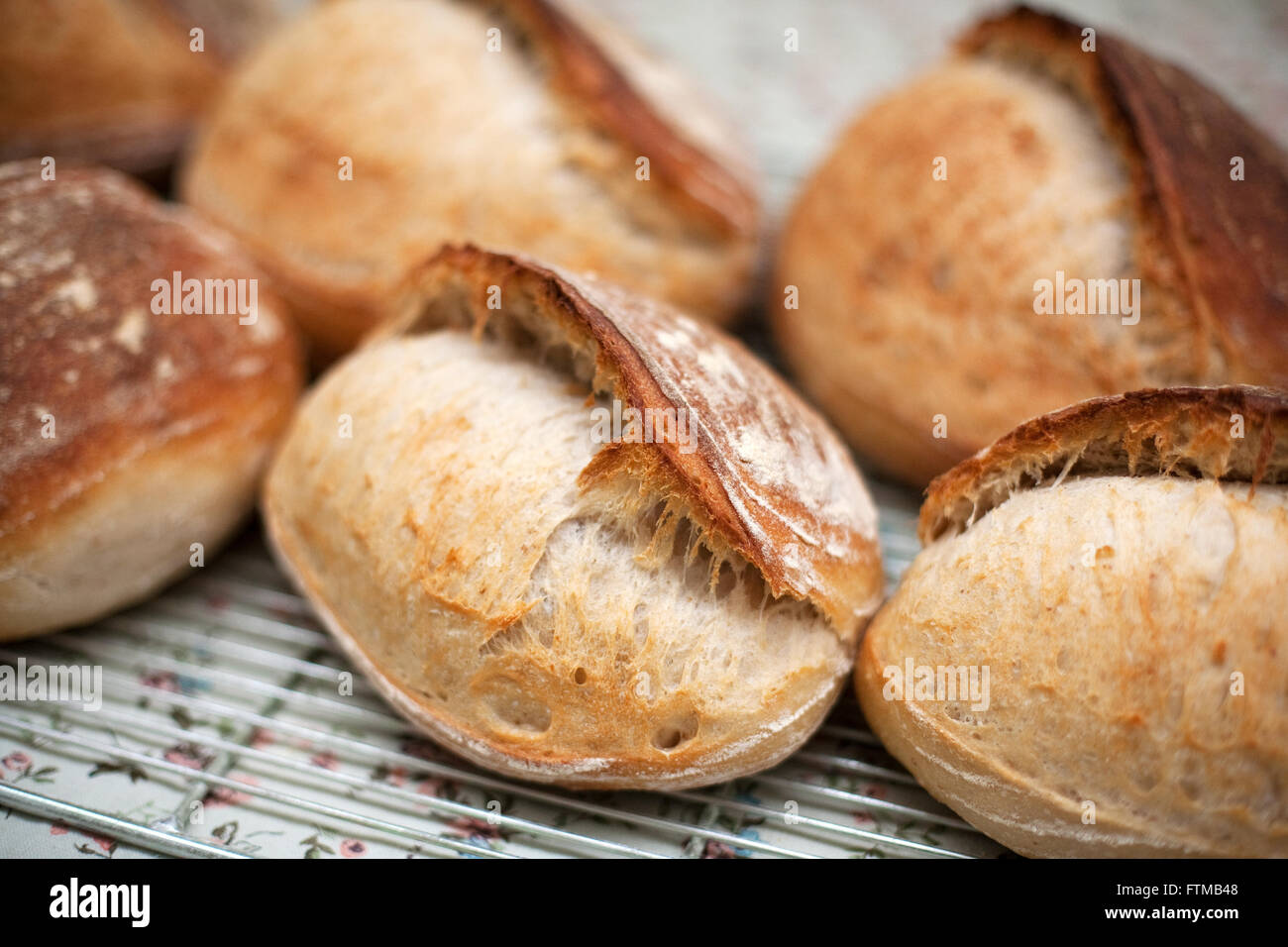 Soda bread fresh out of the oven cooling on a tray Stock Photo