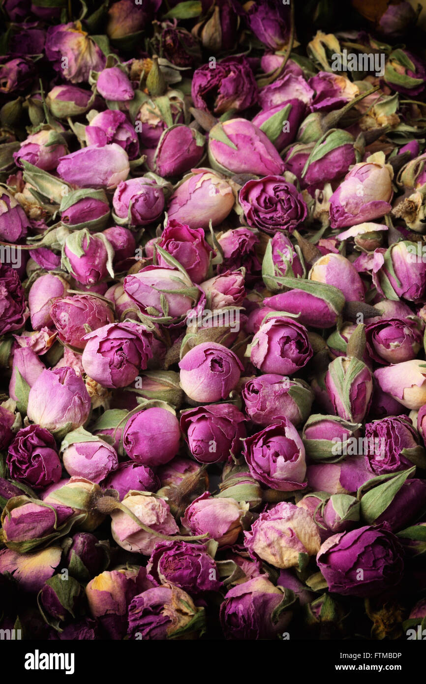 Background image of dry roses buds. Stock Photo