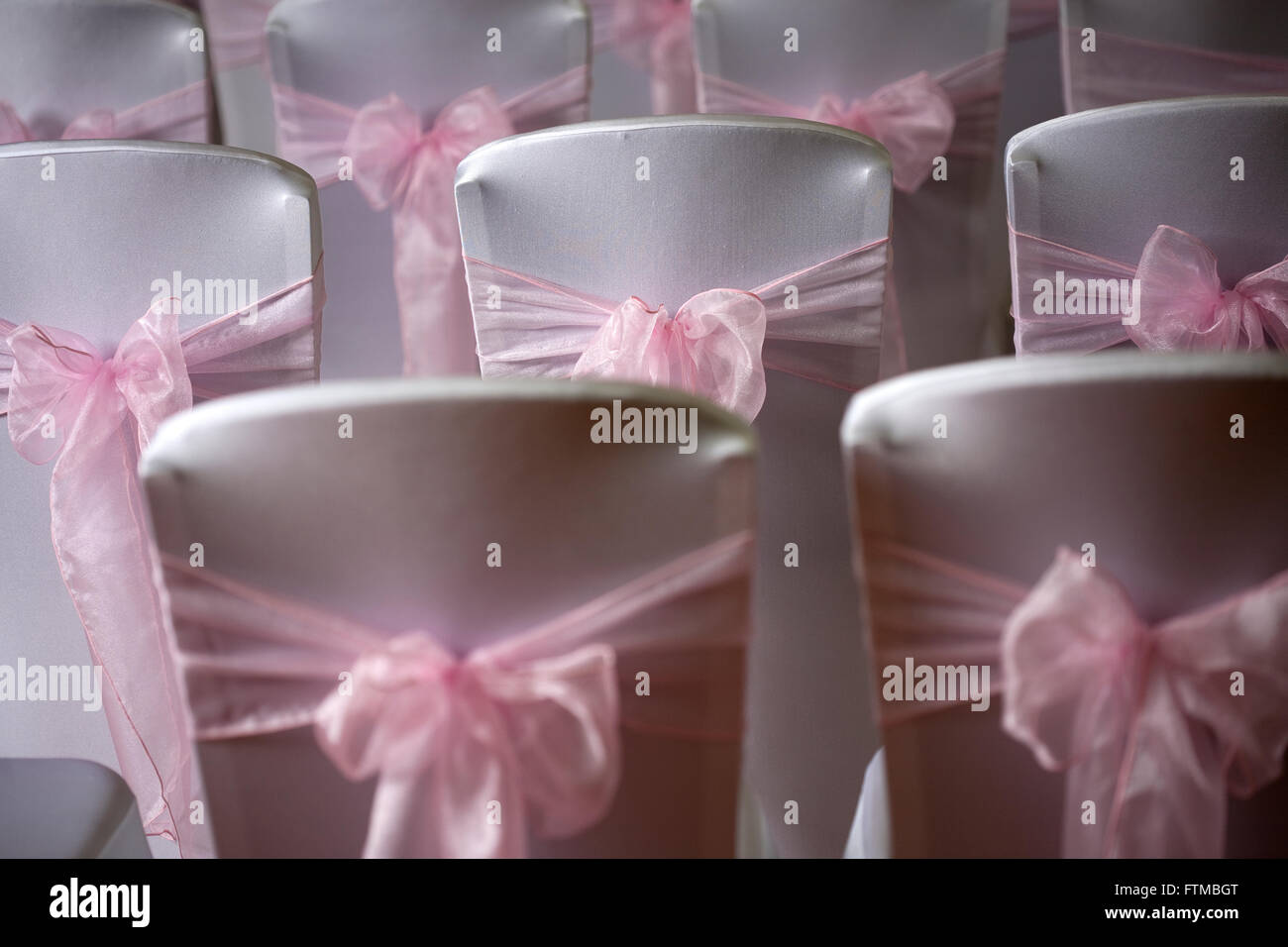 White covered wedding chair backs with pink ribbon sashes and bows Stock Photo