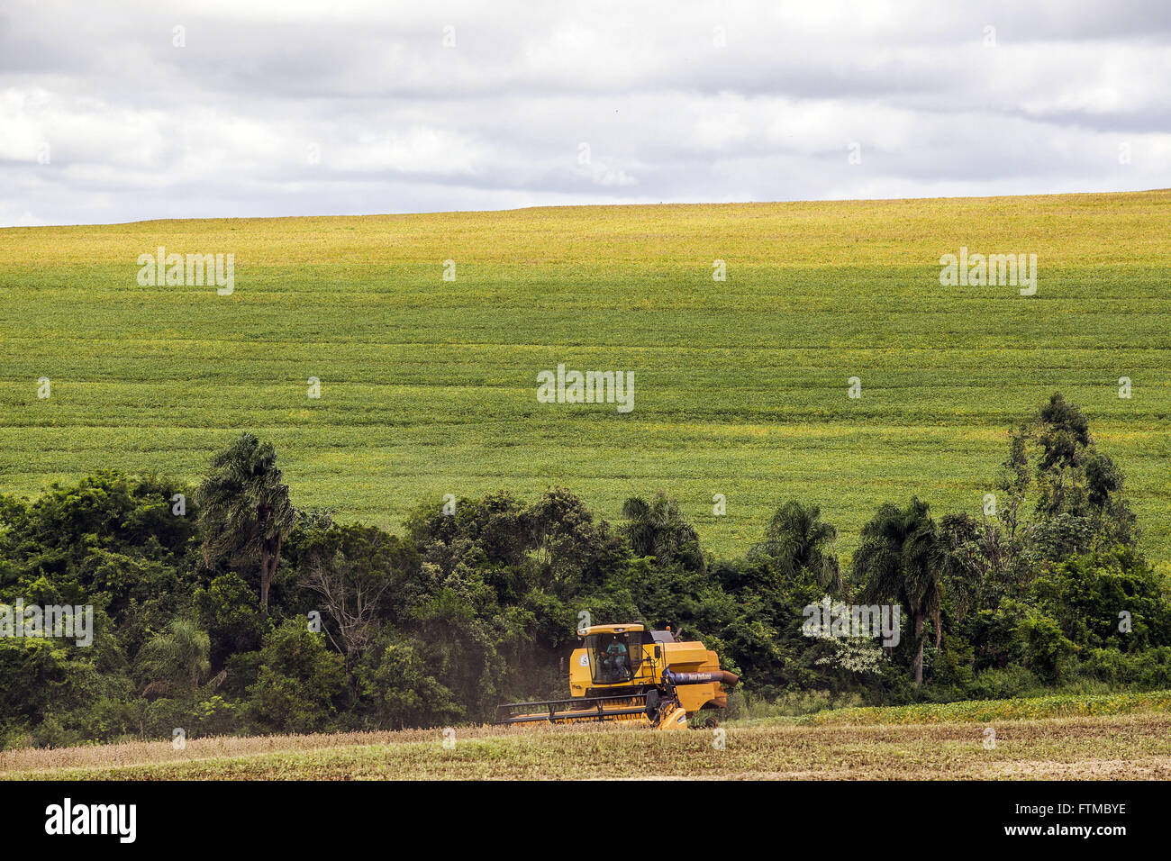 Mechanical harvesting of soybeans in the countryside Stock Photo Alamy