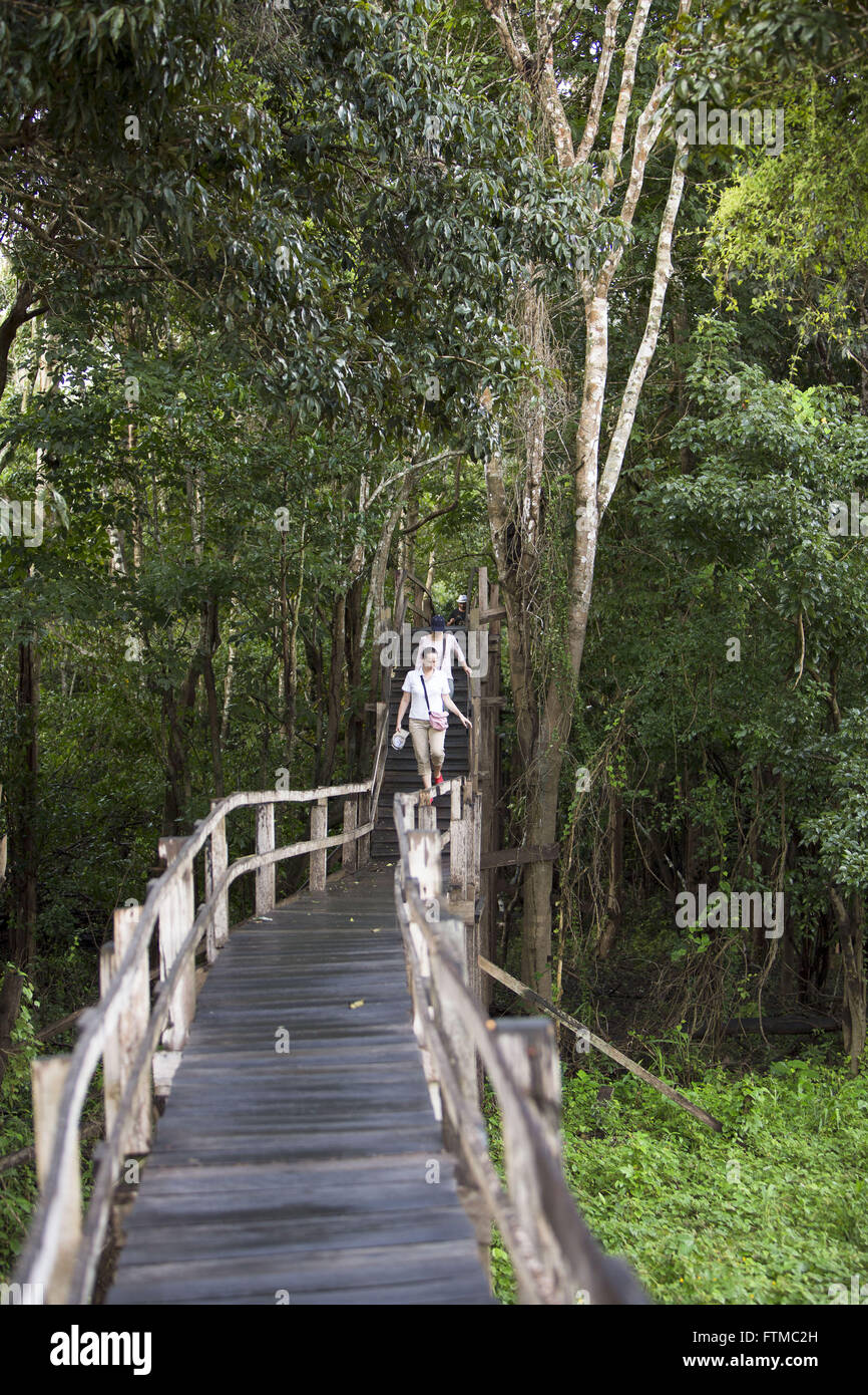 Tourists walking on the catwalk under the lake Janauari Stock Photo