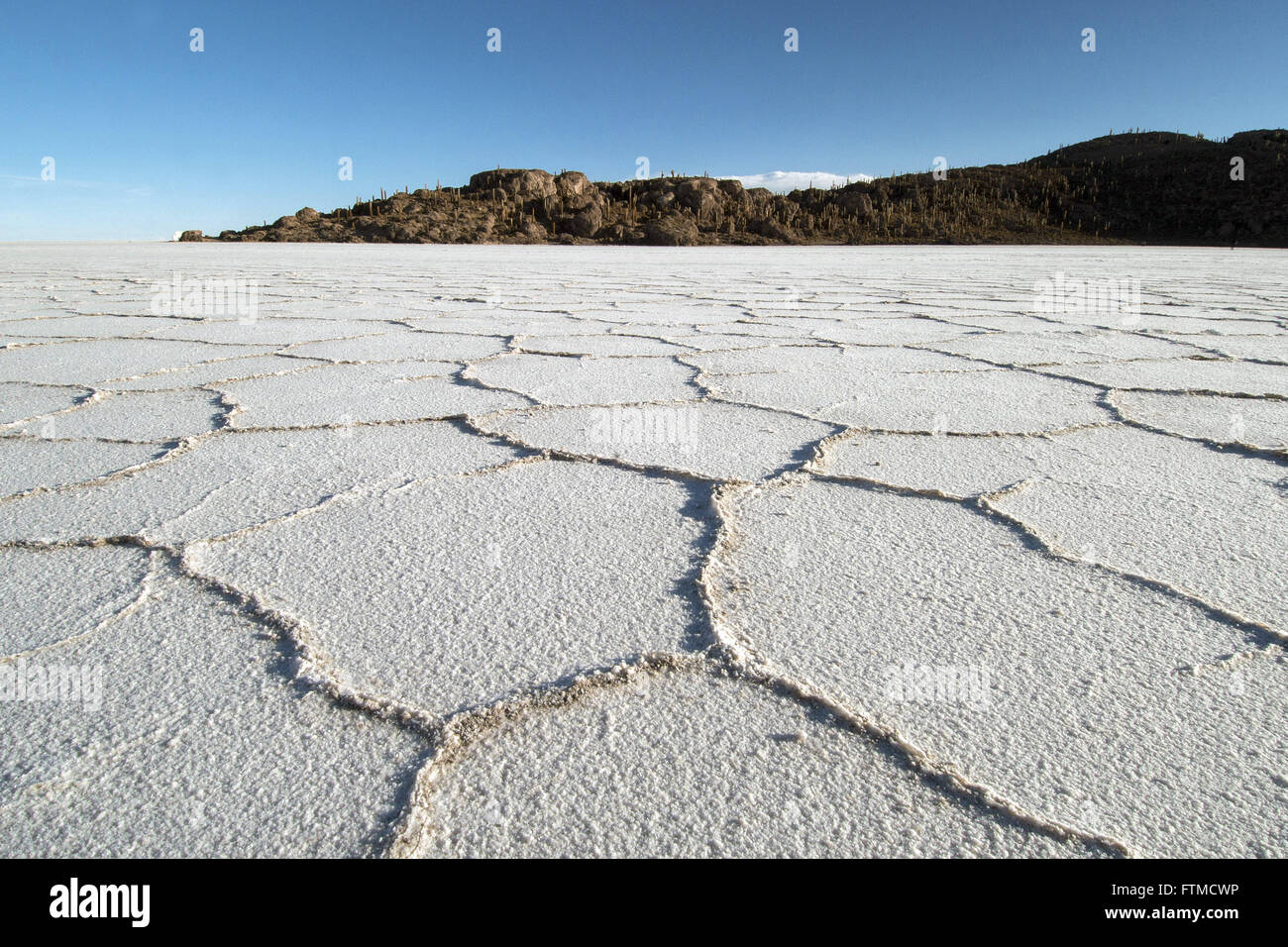 Salar de Uyuni located in the Bolivian altiplano with Incahuasi Island