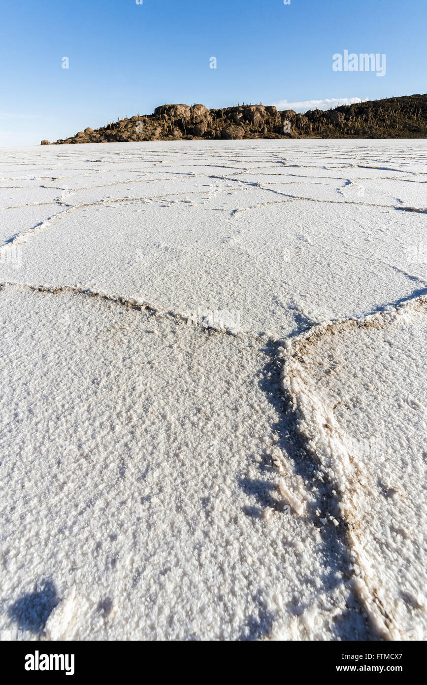 Salar de Uyuni located in the Bolivian altiplano with Incahuasi Island