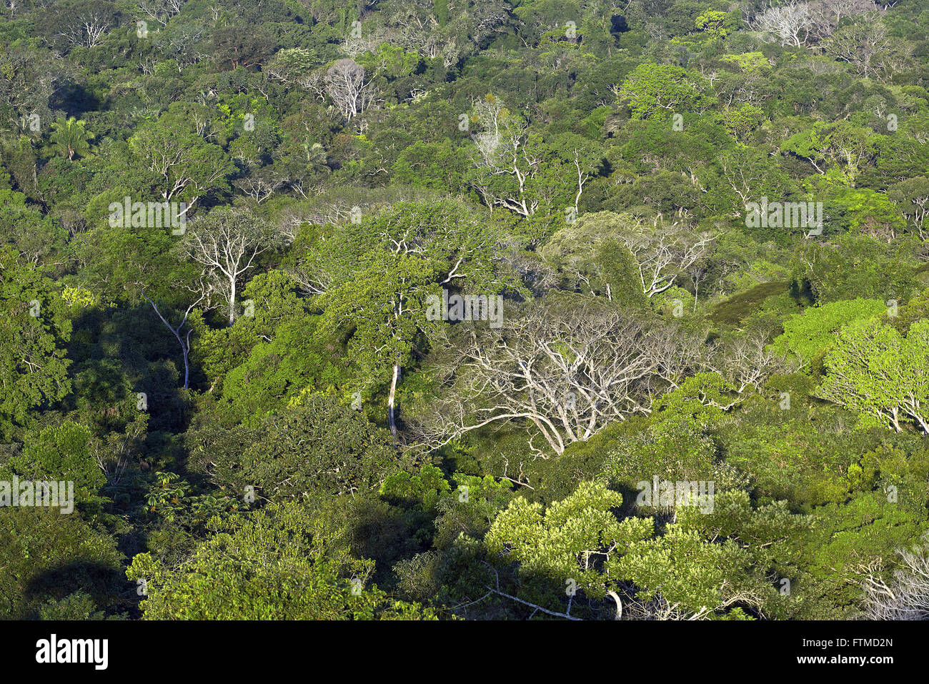 Un panno verde con paillettes in una vista ravvicinata Foto stock - Alamy