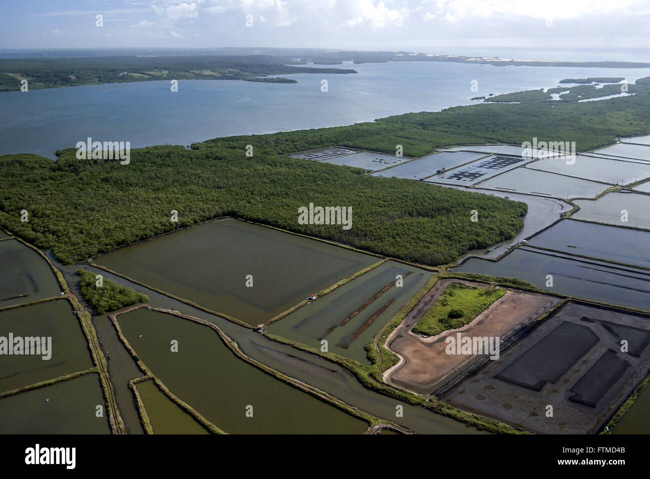 Vista aerea de lagoas de cultivo de camarao Stock Photo