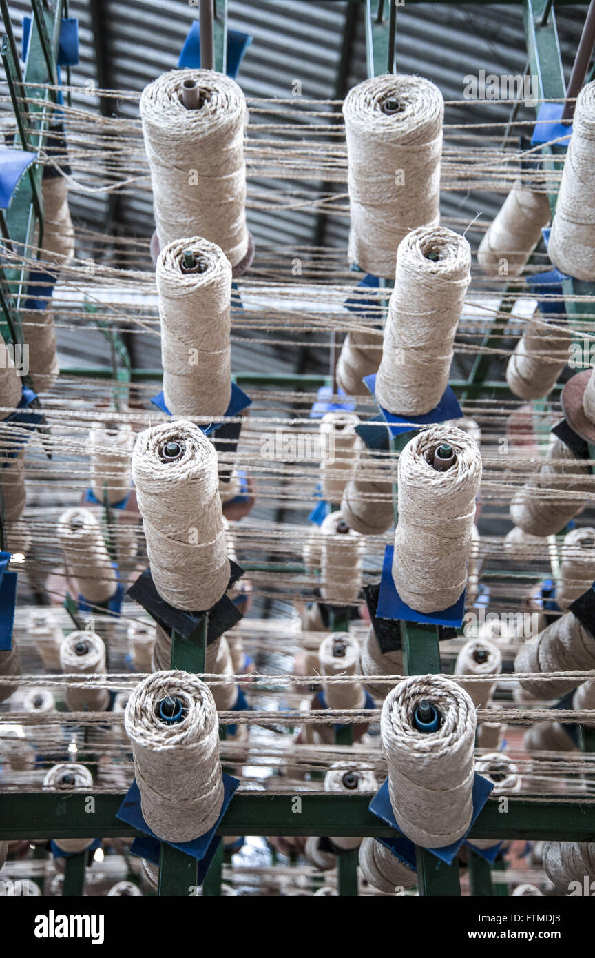Rolls of sisal yarn produced in APAEB Stock Photo