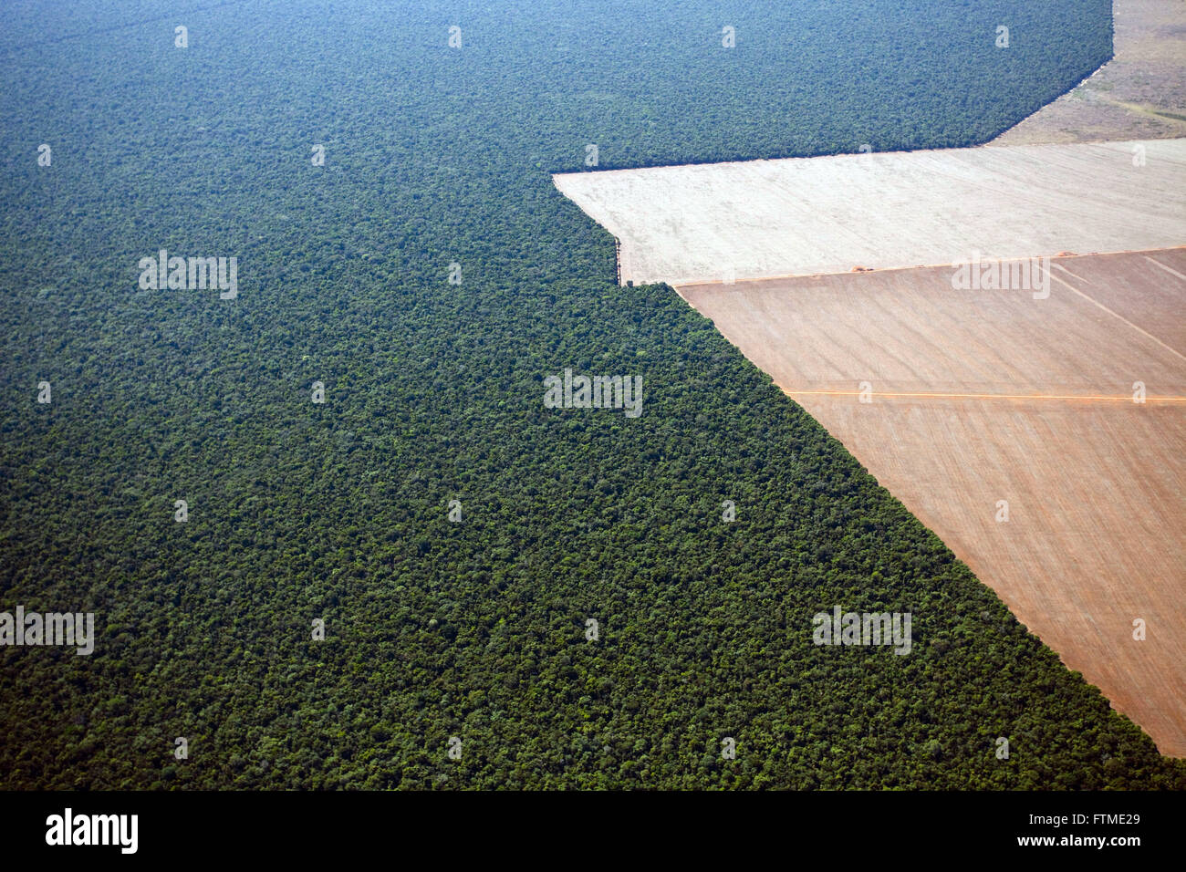 Aerial view of the area preserved and limit area deforested for farming in the middle of Savana Stock Photo
