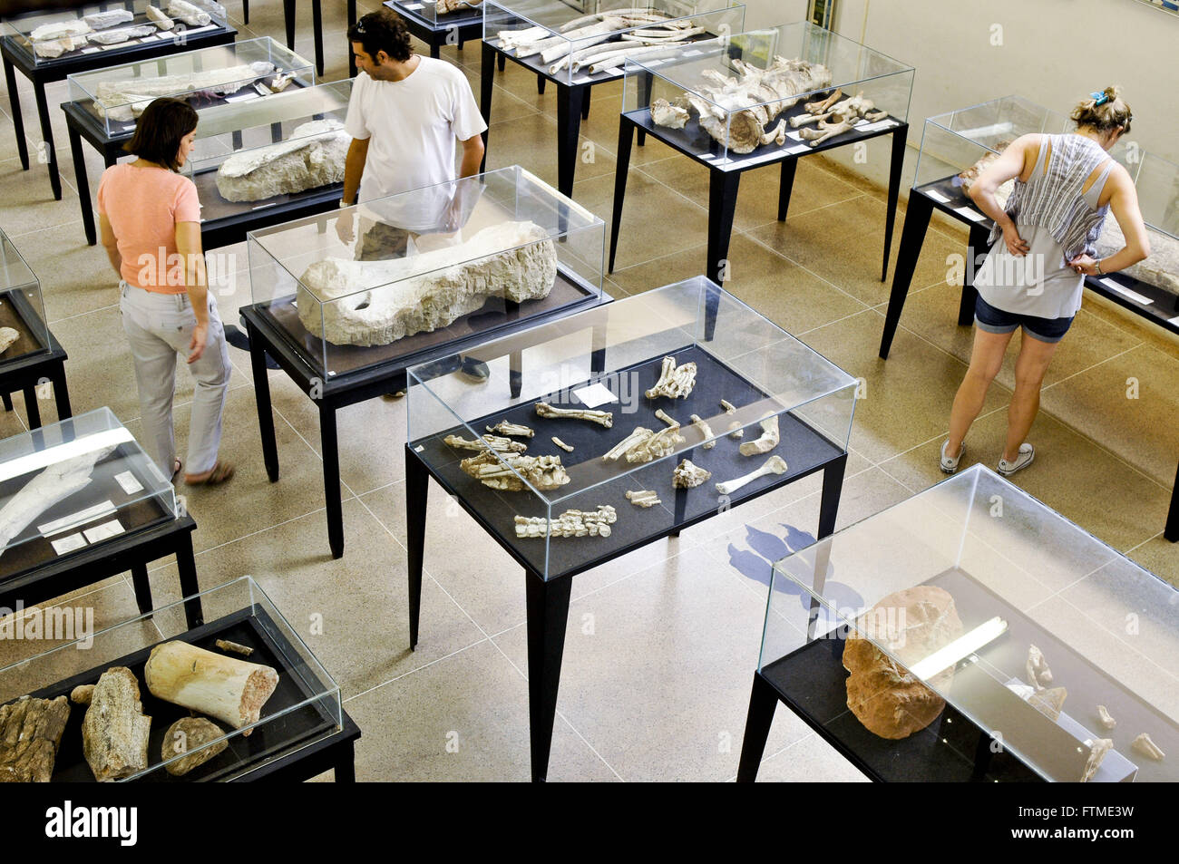 Inside the Museum of Paleontology Professor Antonio Celso de Arruda in Praca do Centenario Stock Photo