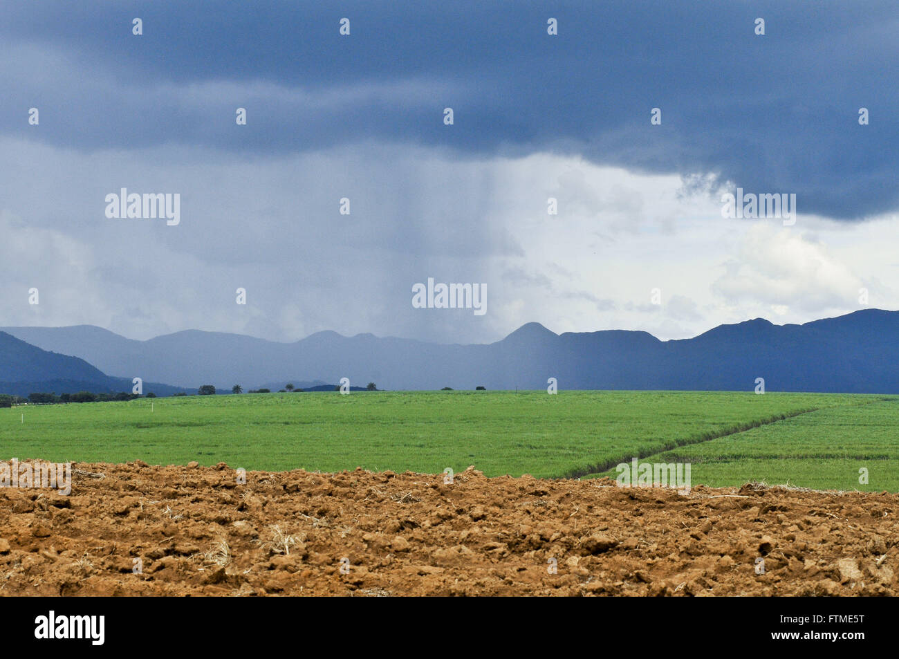 Precipitation of rain in the countryside with plantation of cane sugar and Serra da Canastra Incidental Stock Photo