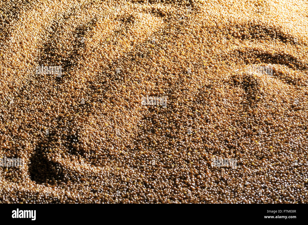 Millet Grain Hs Code at Erik Williams blog