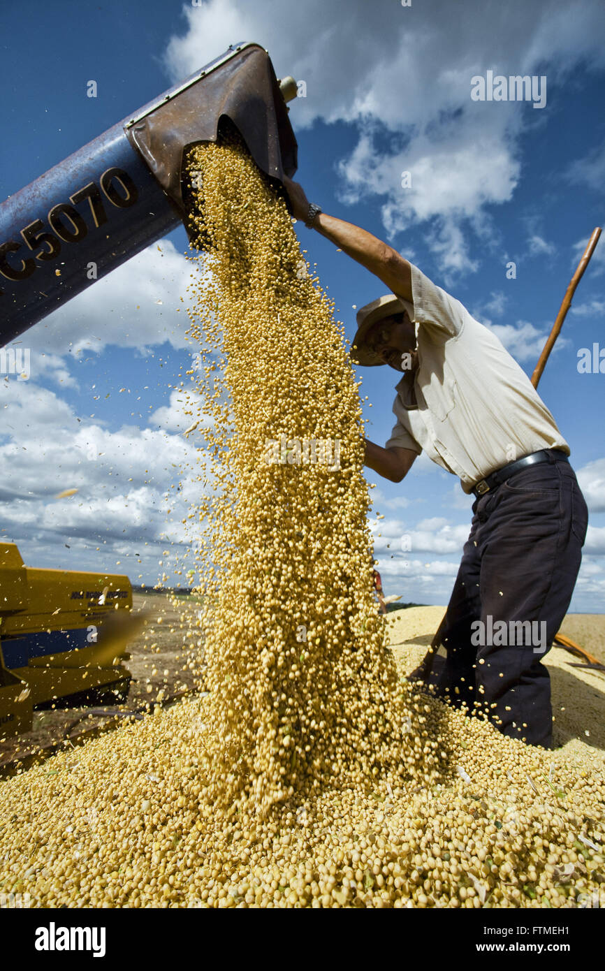 Farmer harvesting soybeans hires stock photography and images Alamy