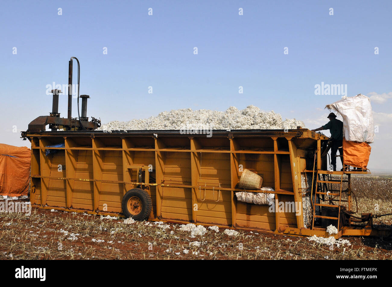 Press combine advanced technology pinning newly harvested cotton Stock Photo