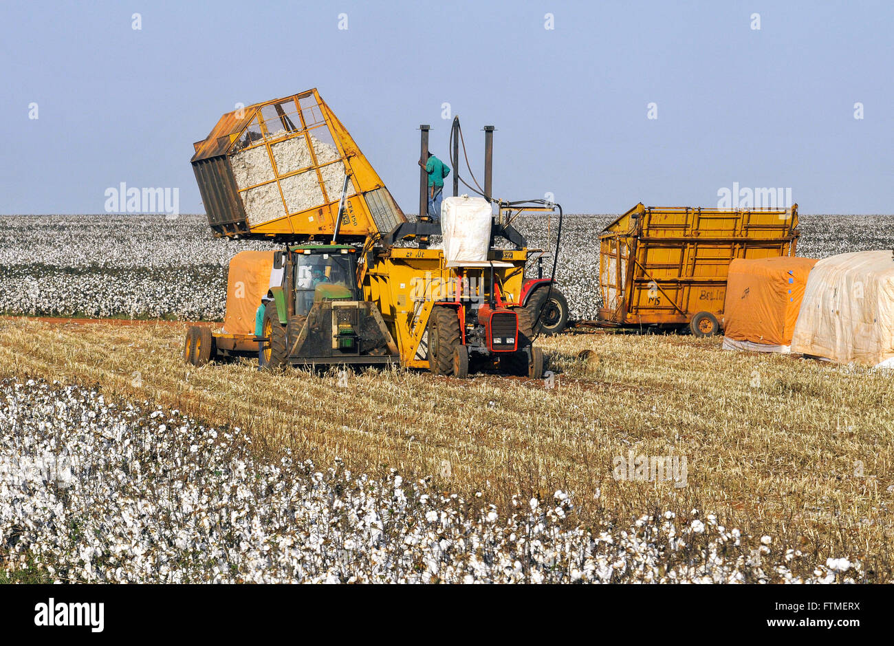 Cotton press hires stock photography and images Alamy