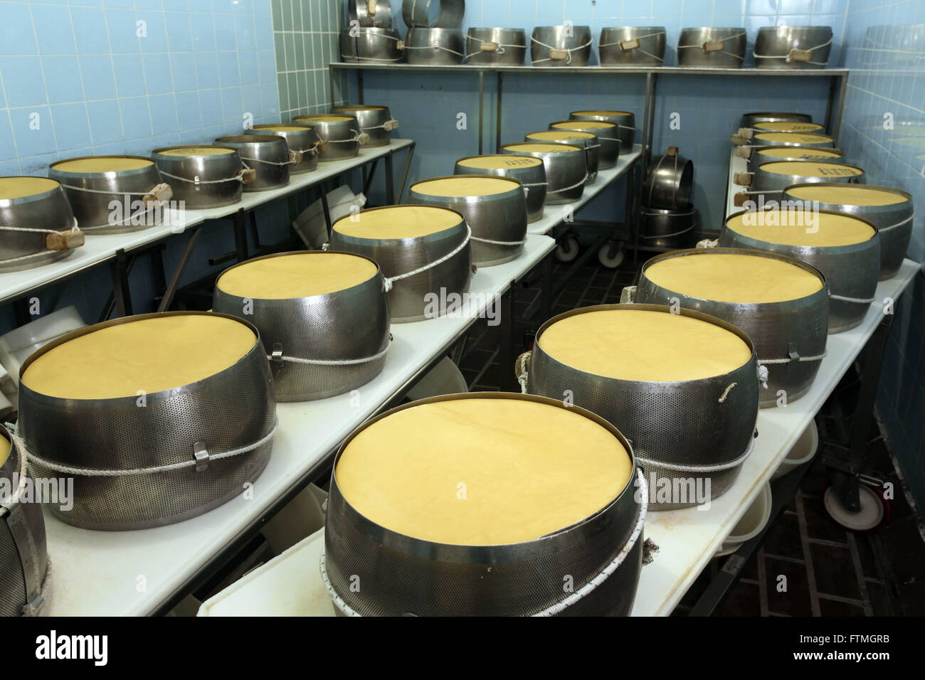 Manufactures type Grana cheese in dairy industry Stock Photo