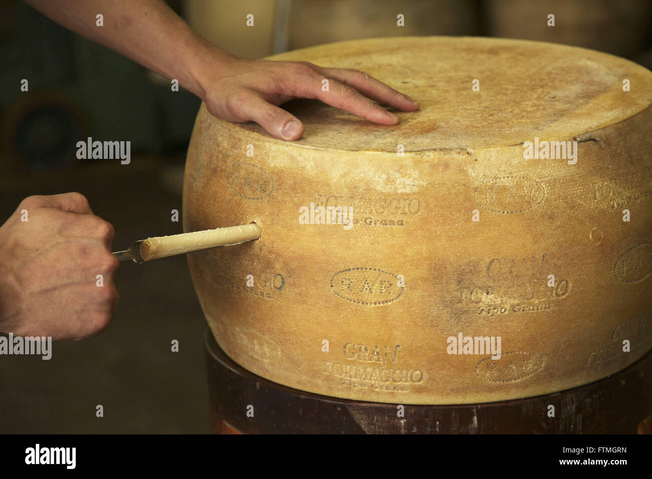 Cheese wheel and test hi-res stock photography and images - Alamy