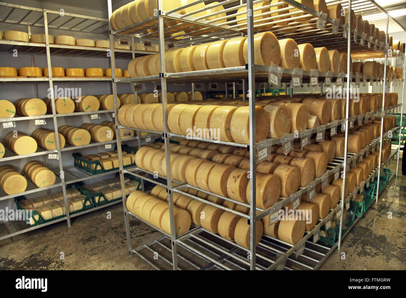 Chamber maturation of cheese in the dairy industry in Bento Goncalves