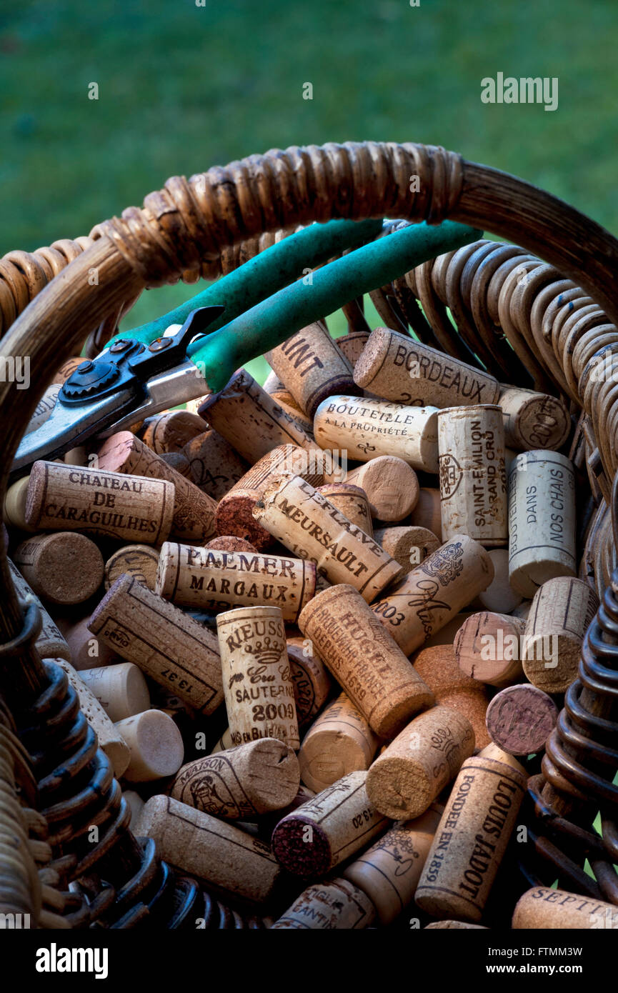 WINE CORKS CONCEPT French grape pickers harvest basket & secateurs with