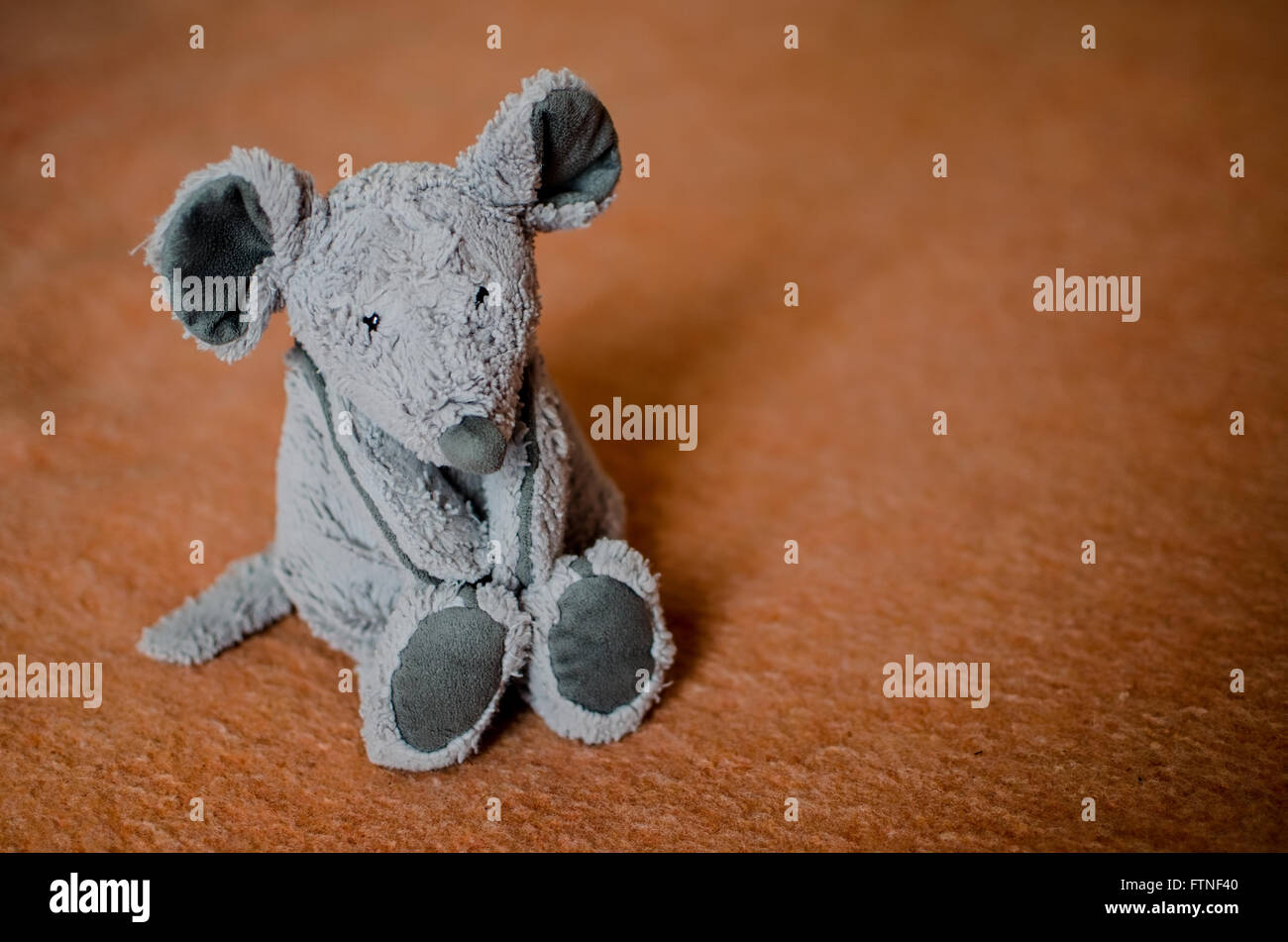 rat teddy