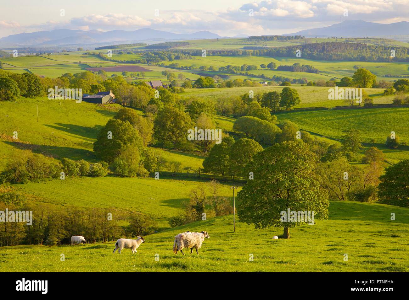 Ainstable cumbria hi-res stock photography and images - Alamy