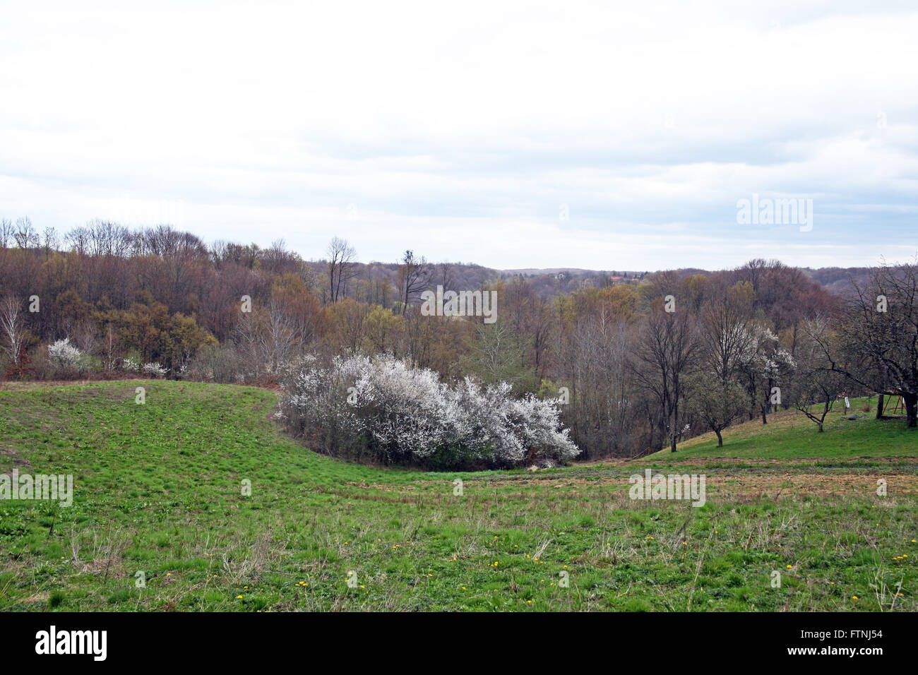 Springtime in the country,fields and forests,Croatia,Europe Stock Photo
