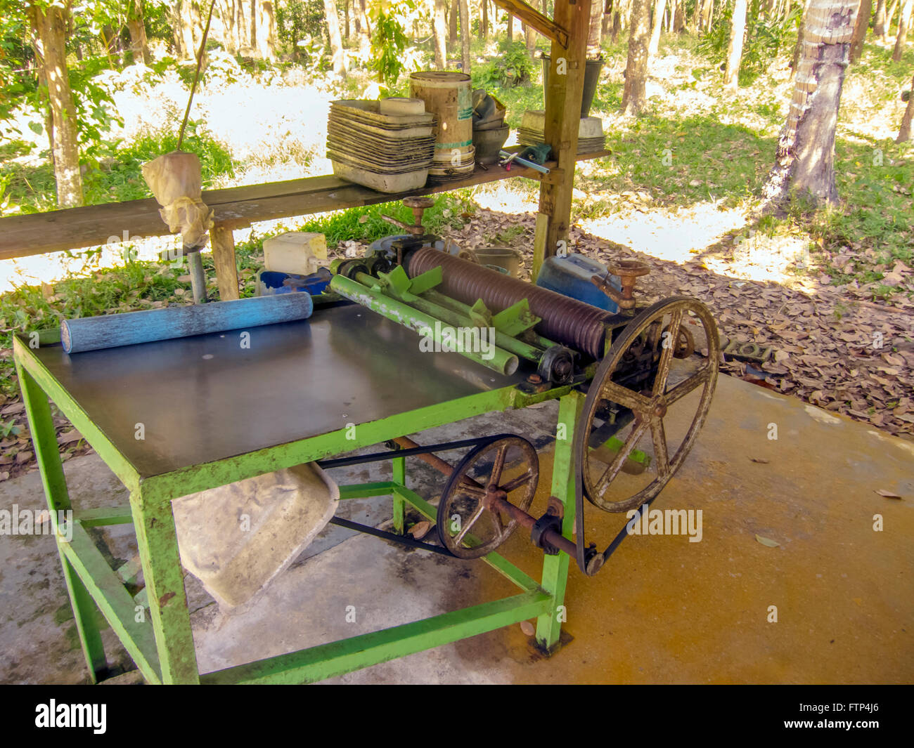 Rubber plantation on the island of Kho Yao Yai Thailand, piece of machinery to spread out the rubber latex. Stock Photo