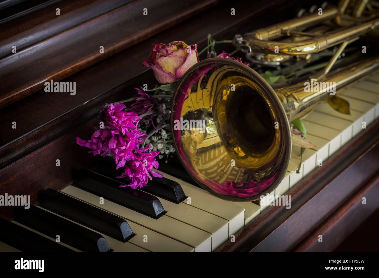 Old and worn Jazz trumpet and piano with dried flowers Stock Photo Alamy