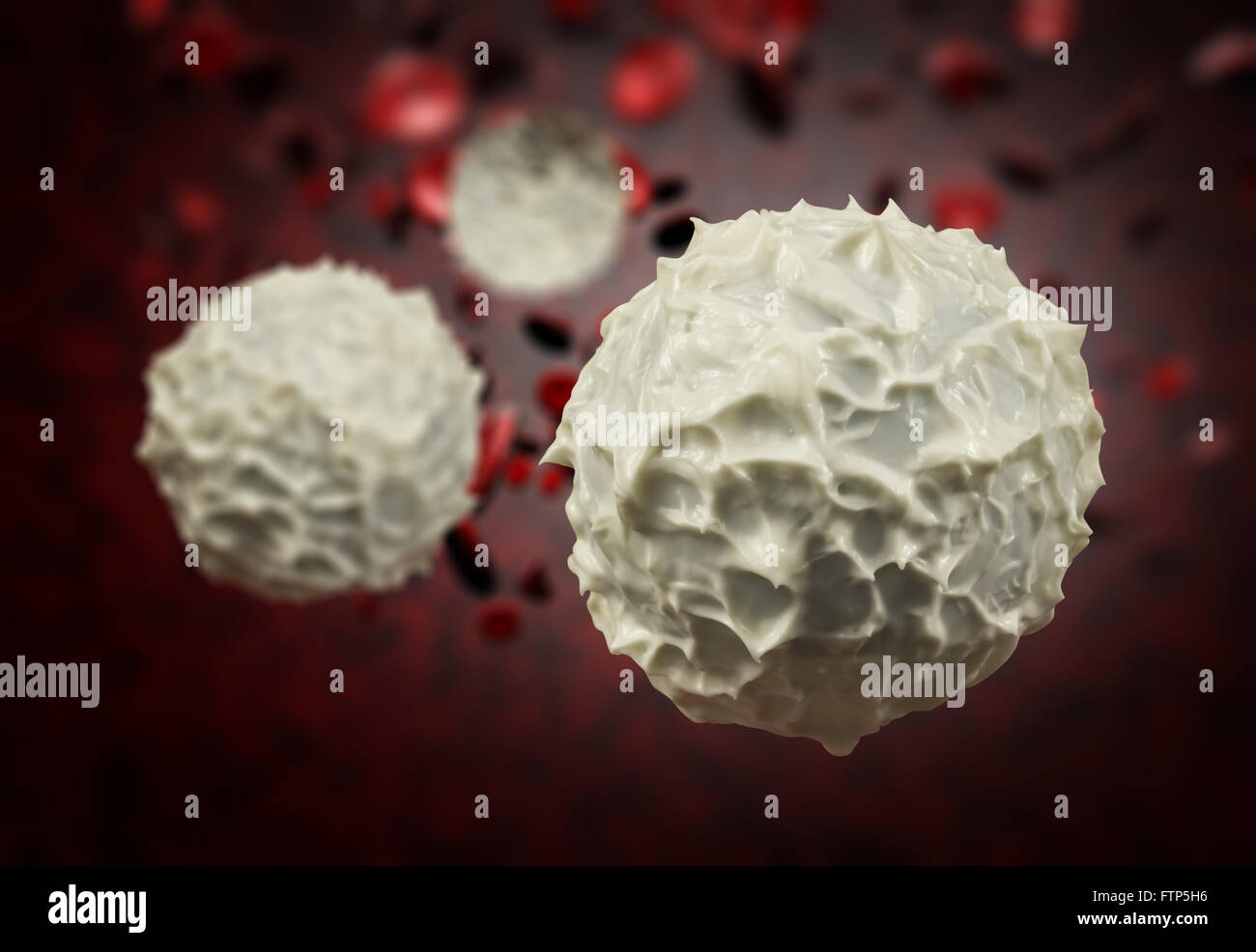 Healthy human red and white bloodcells in close up 3d graphics render Stock Photo