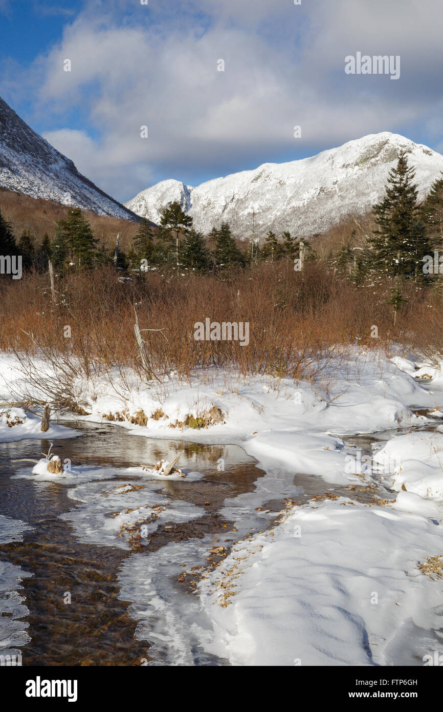 Eagle Cliff from along the Pemi Trail in Franconia Notch State Park of