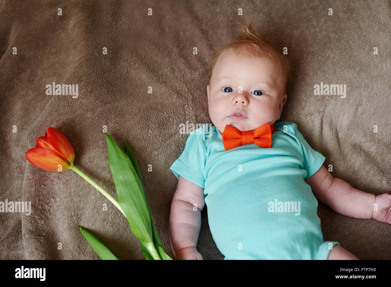 little boy lying on bed and bouquet of tulips Stock Photo