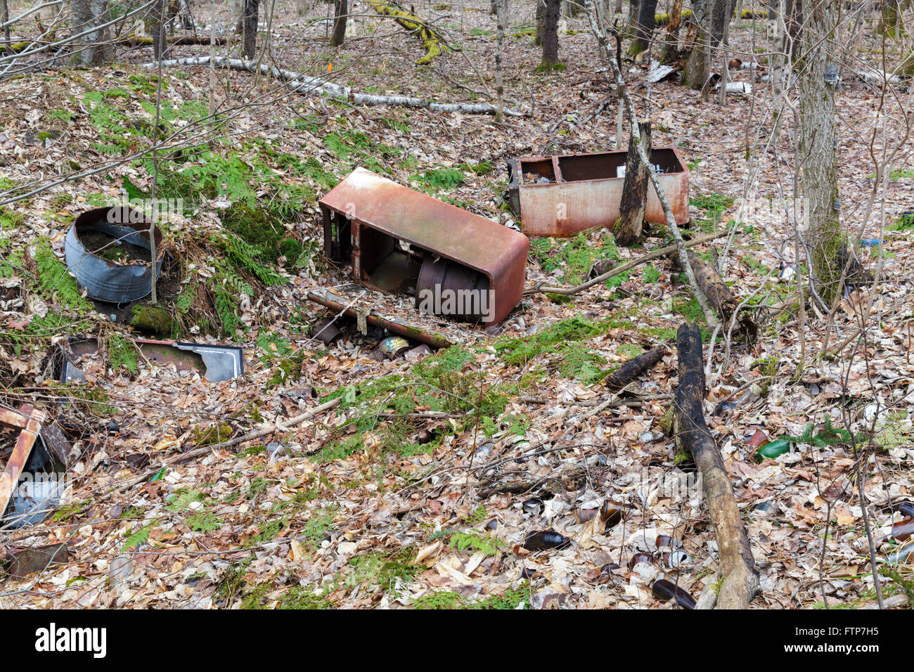 Remnants of the Civilian Conservation Corps Wildwood Camp along Tunnel Brook Road in Easton, New