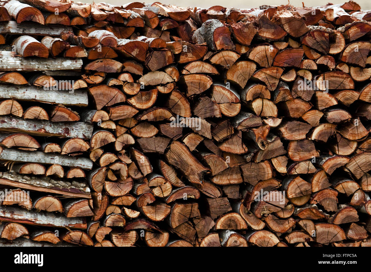 Cut tree trunks for consumption Stock Photo Alamy