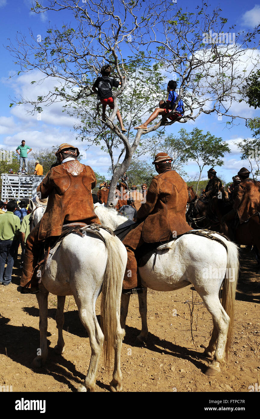 Cowboys assembled to handle the Ox in the District of Ipueira Stock Photo