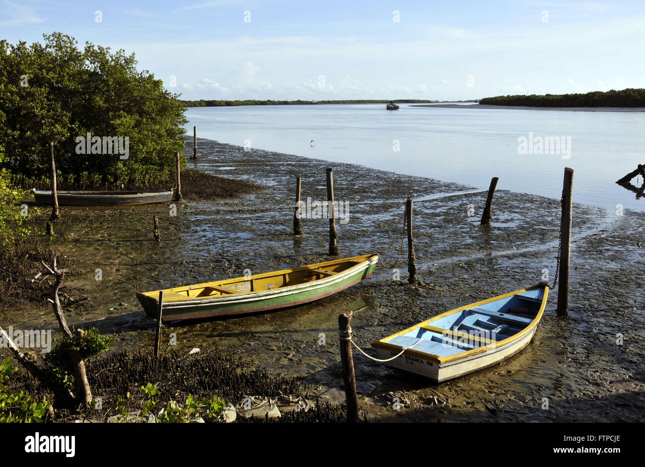 Canoes moored in the mangrove area of the city of Coarse - coast of Rio Grande do Norte Stock Photo