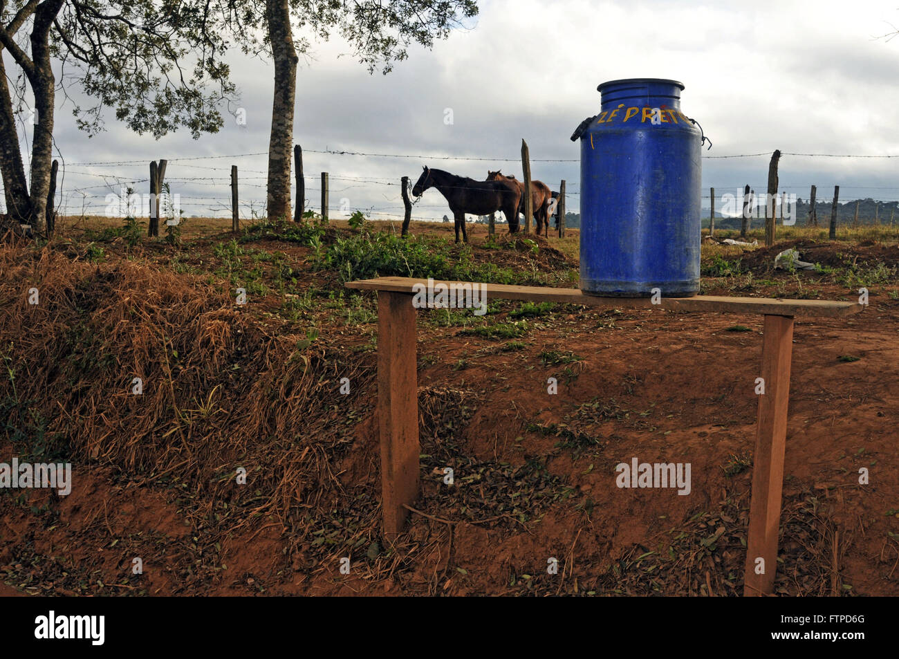 Brass milk on dirt road and horses in the background - rural town of New Resende Stock Photo