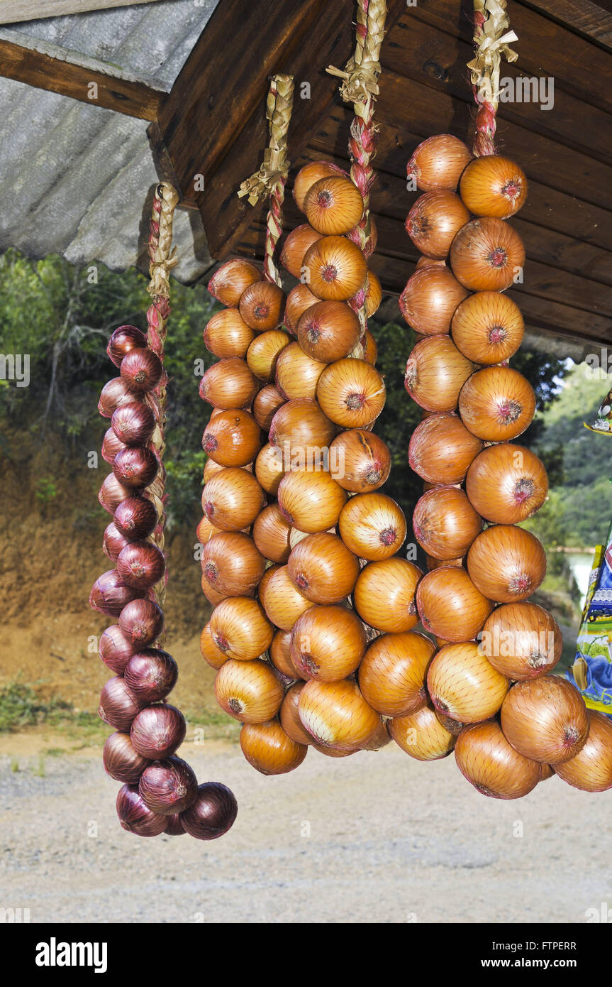Onion tent top